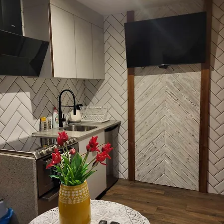 Apartamenty Gubalowski Las Nowe Bystre Exterior foto
